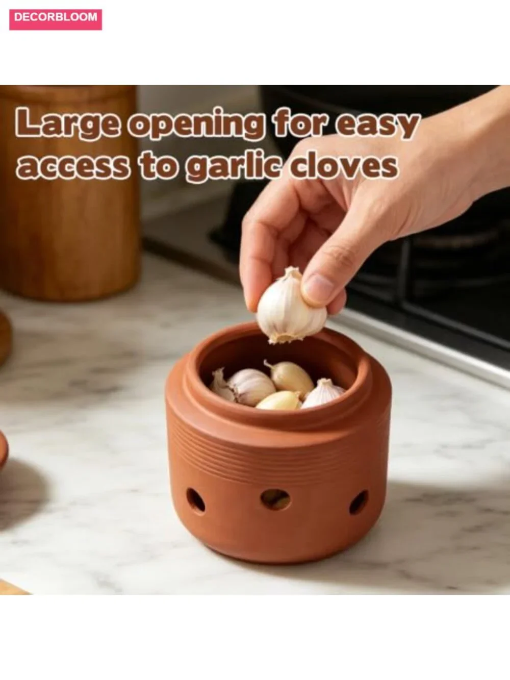 Clay Garlic Keeper with Lid for Countertop Storage